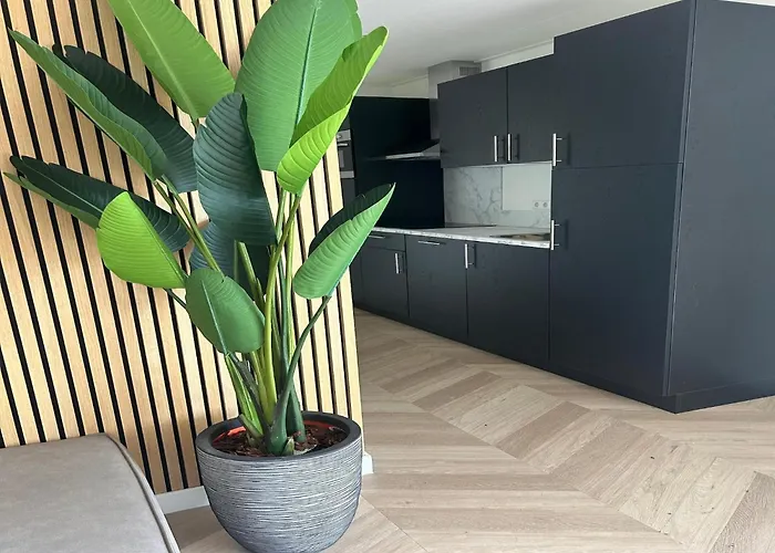 Forest Escape In * Ulicoten